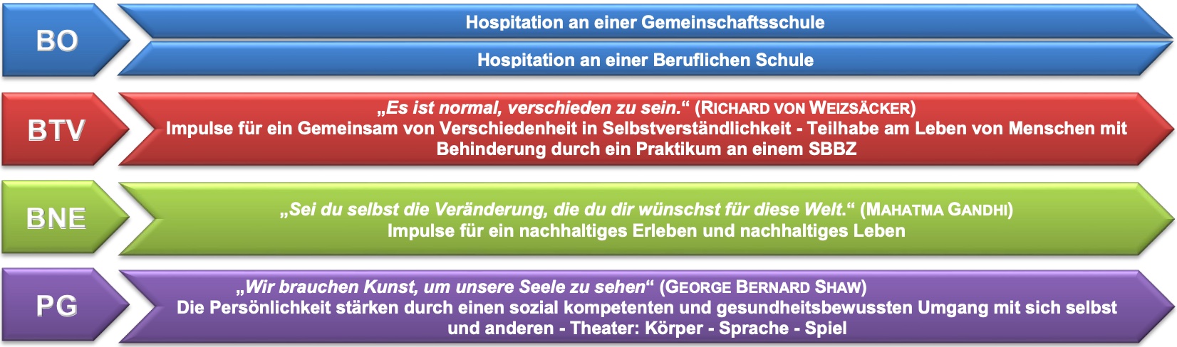 Die Grafik fasst den Inhalt dieser Website schematisch zusammen und zeigt, welche Angebote das Seminar zu den jeweiligen Leitperspektiven machen.