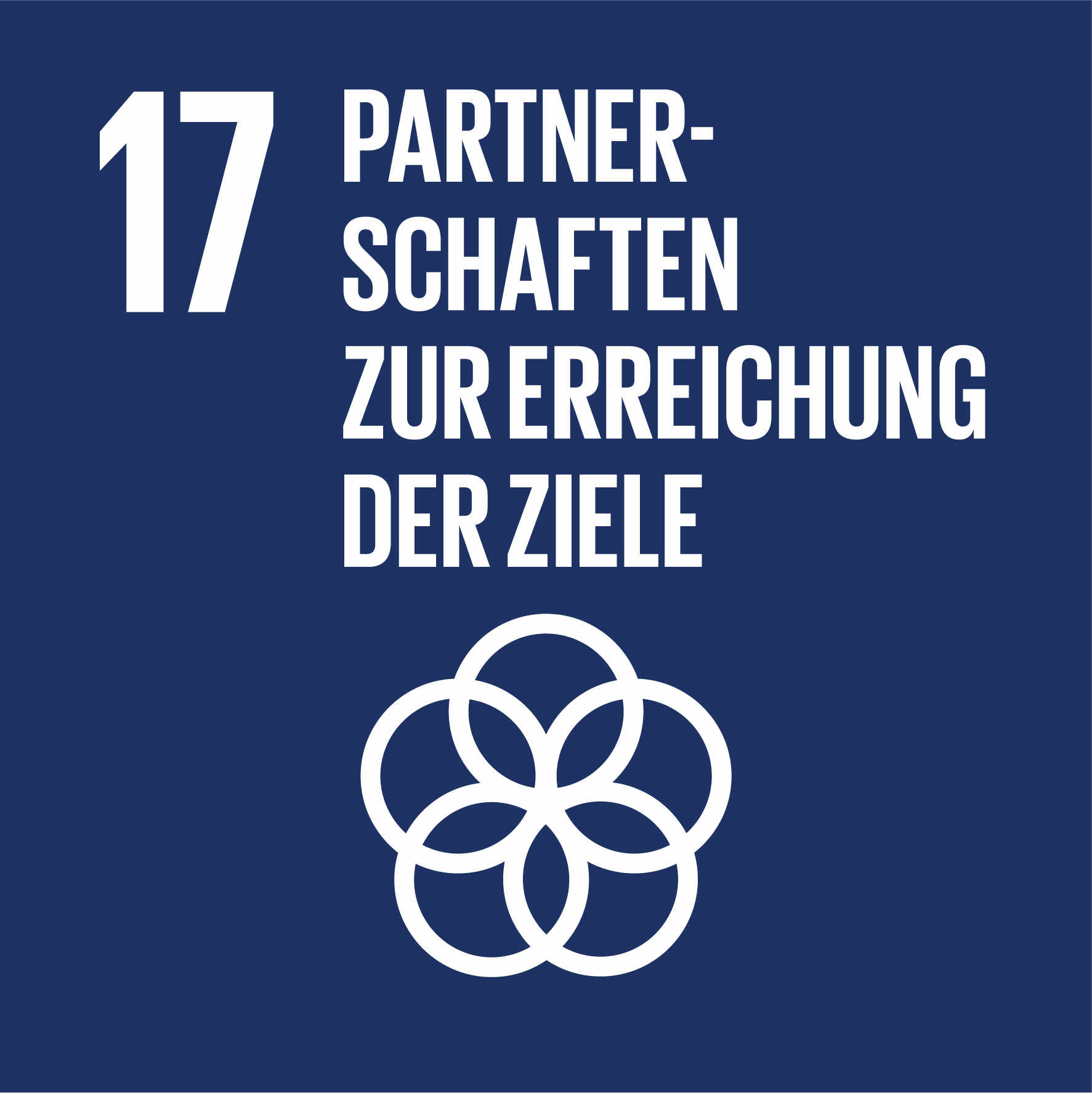 Logo des SDGs 17 - Partnerschaft zur Erreichung der Ziele